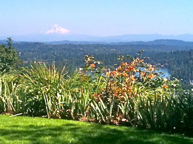 Ervin garden view Ervin garden view