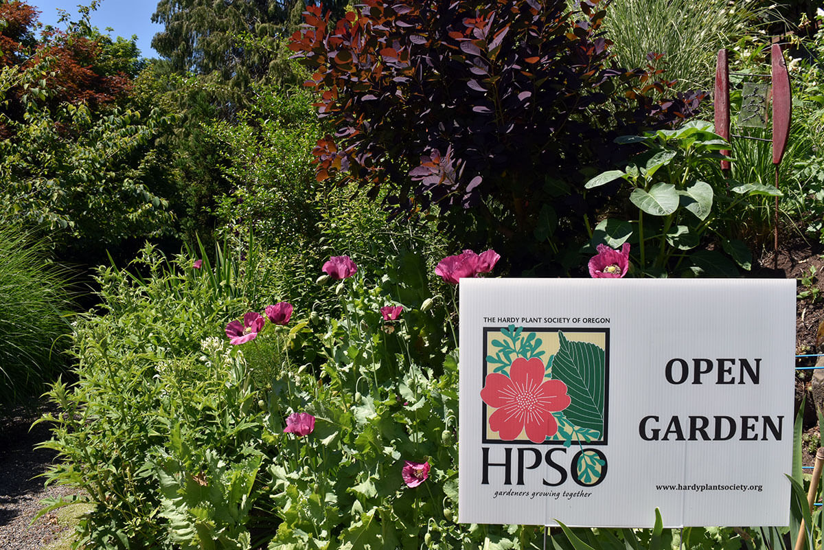 HPSO Open Gardens