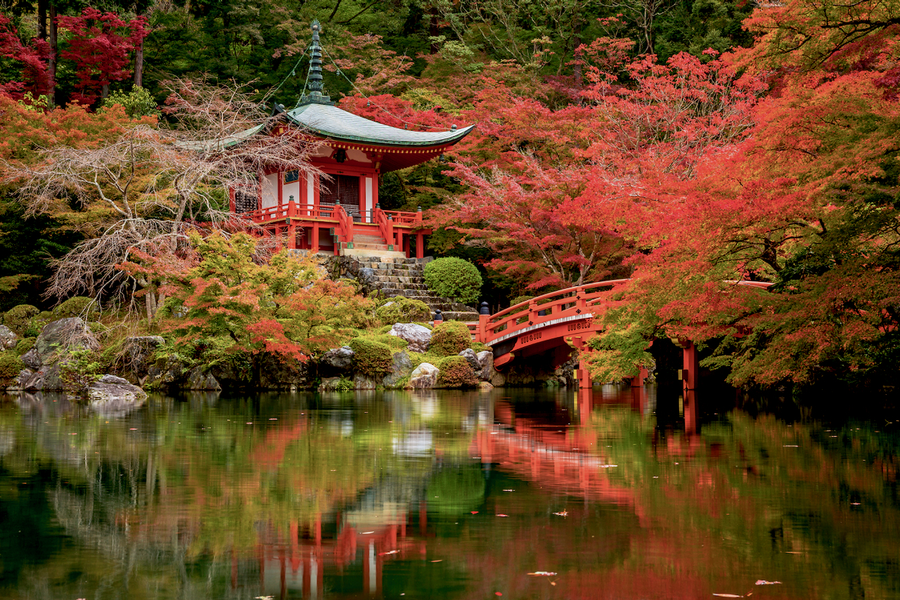 Japan autumn color