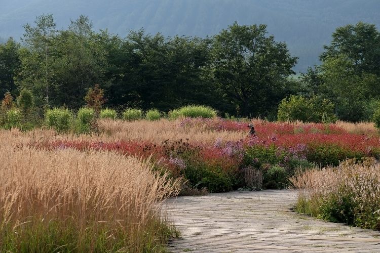 Tokachi Millennium Forest