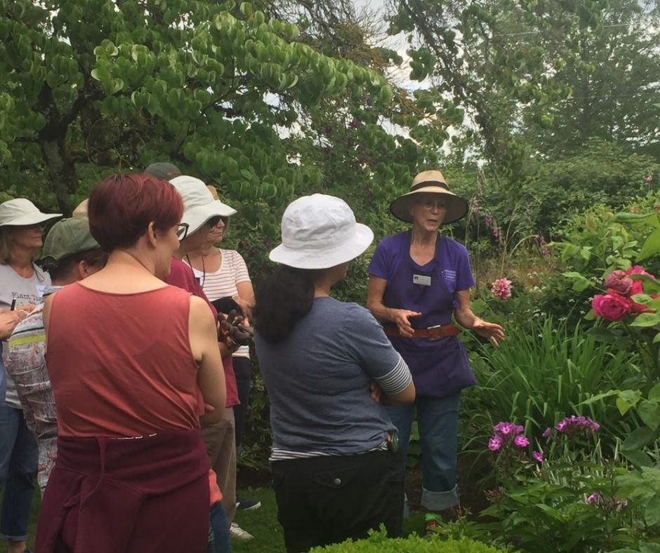 Rogerson Clematis Garden Onsite Workshop