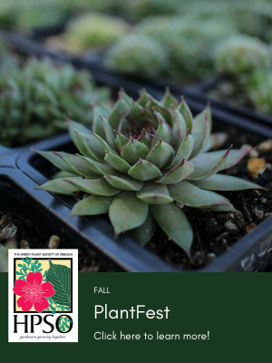 HPSO PlantFest Plant Sale