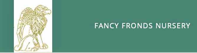 Fancy Fronds Nursery logo