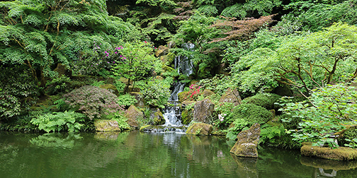 Portland Japanese Garden