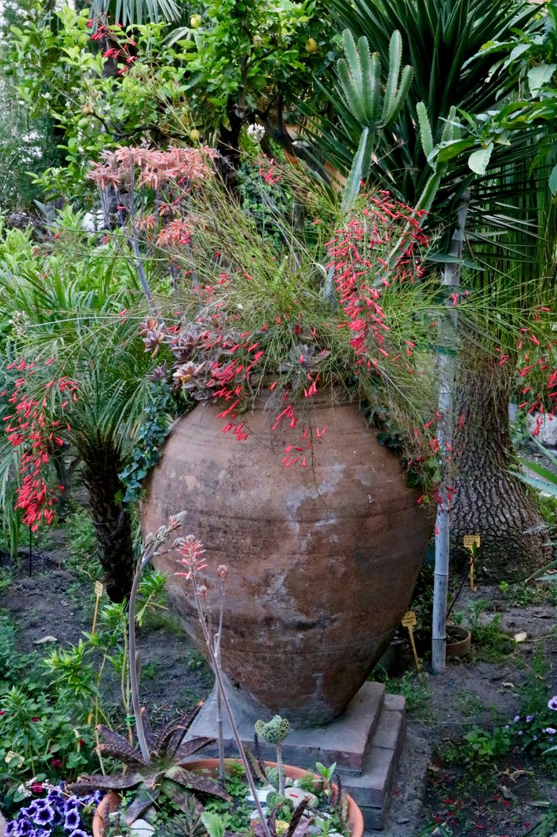 Container planting in Taormina