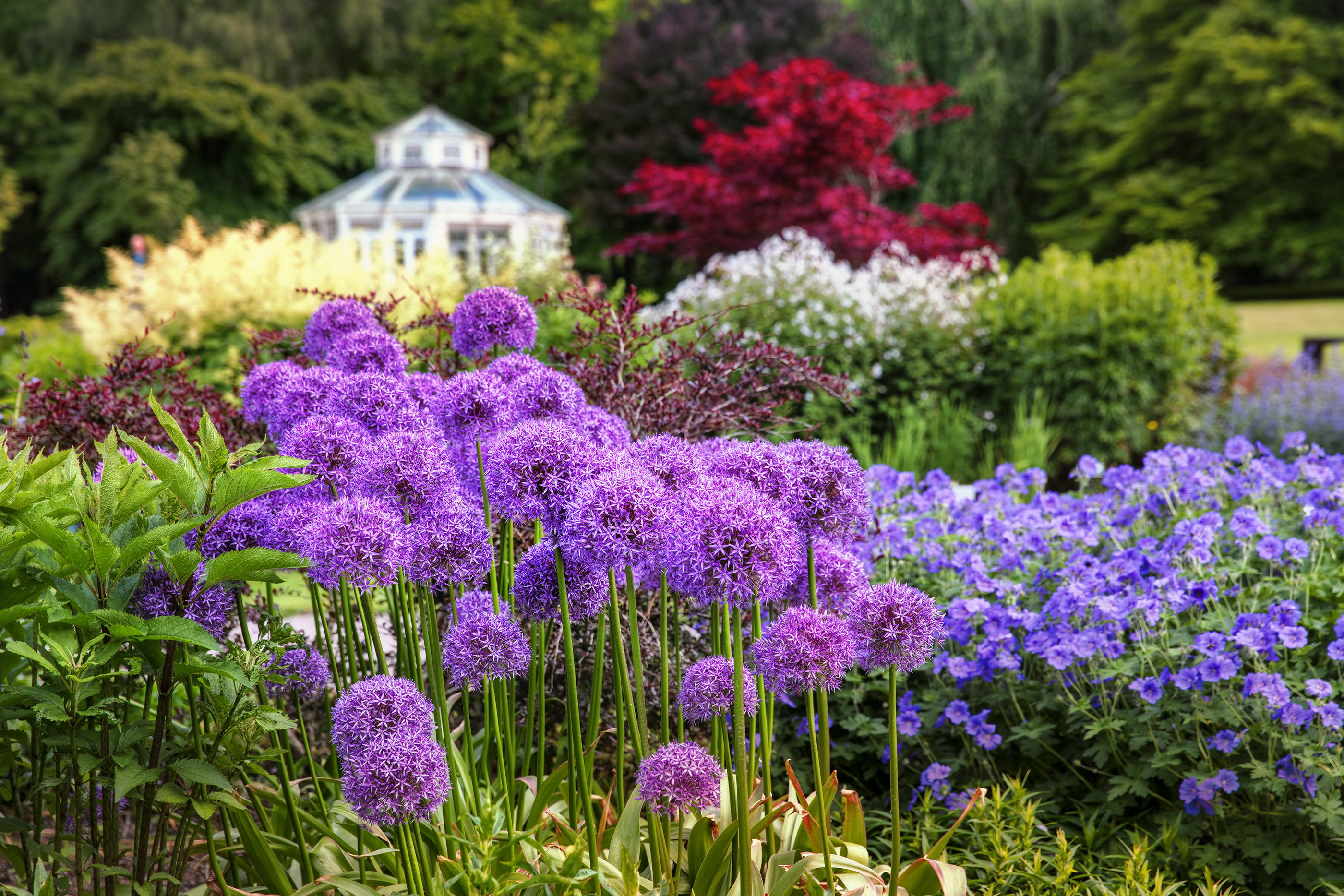 Gotenburg Botanic Garden, Sweden